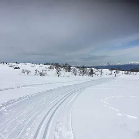 Porten Til Lofoten * Ulsvåg